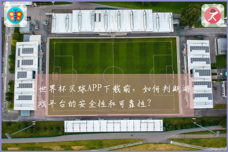 世界杯买球APP下载前，如何判断游戏平台的安全性和可靠性？