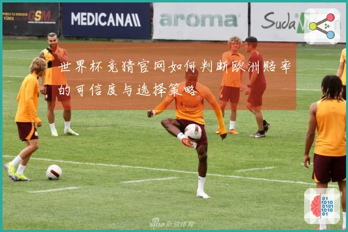 世界杯竞猜官网如何判断欧洲赔率的可信度与选择策略