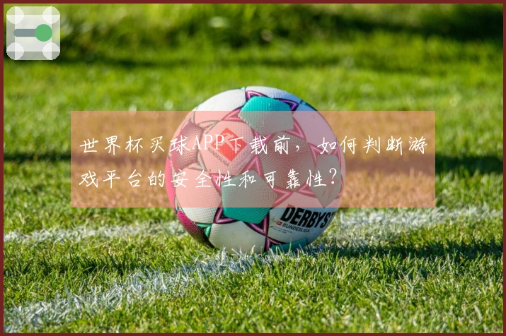 世界杯买球APP下载前，如何判断游戏平台的安全性和可靠性？